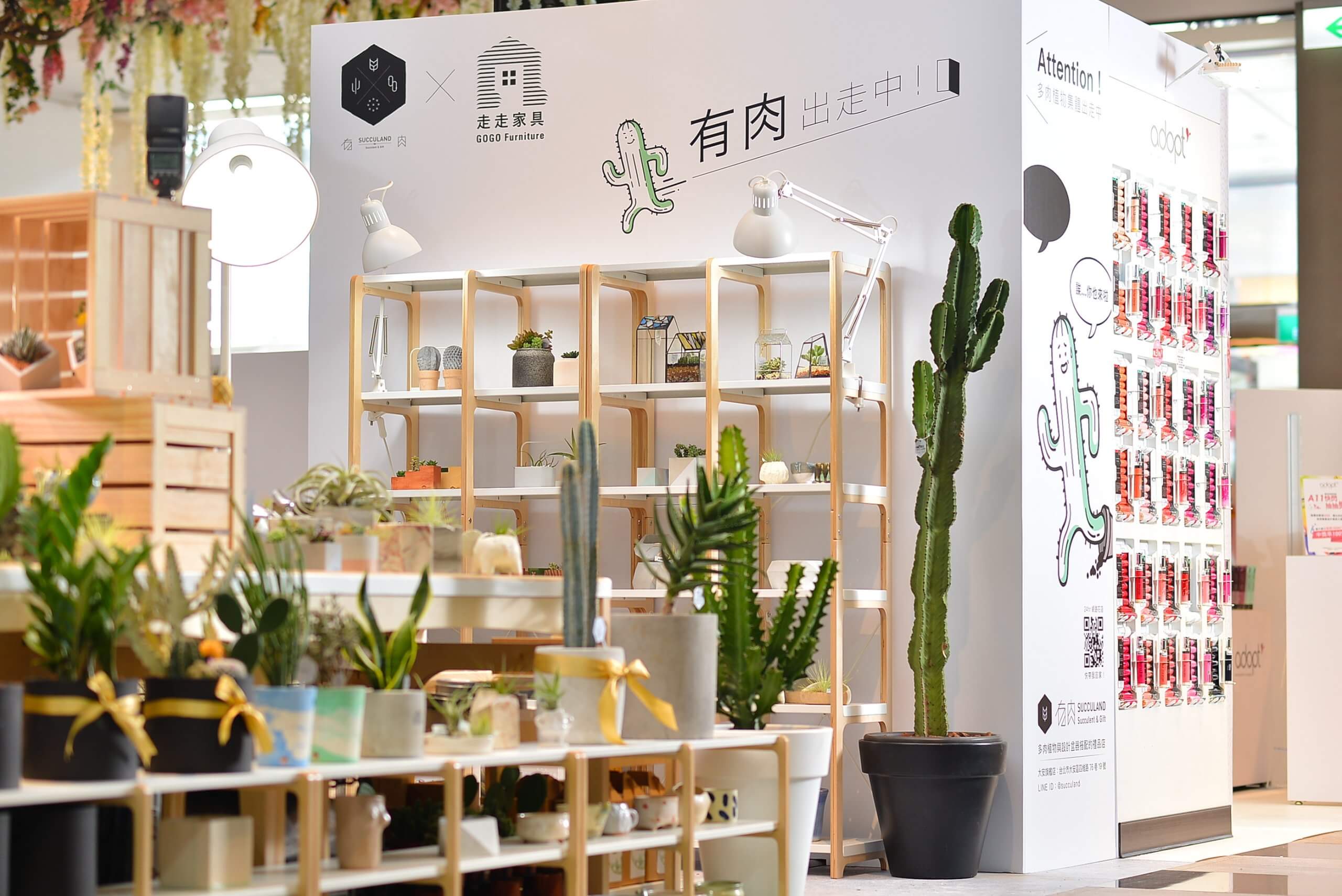 629d8c101793195.5f27ac4c03e21